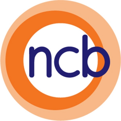NCB statement on Northern Ireland's 'Programme for Government'