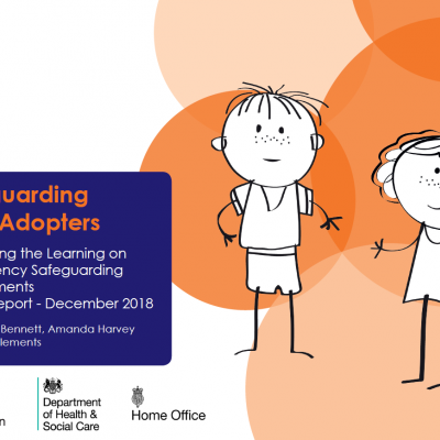 Safeguarding Early Adopters - Interim Report
